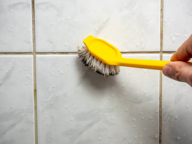 Best Mold Testing  in Portola Valley, CA