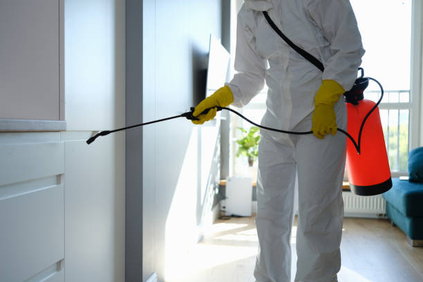 Best Attic Mold Removal  in Portola Valley, CA
