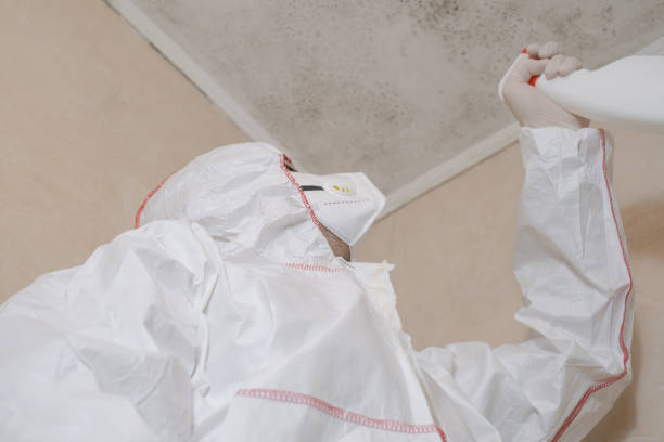 Best Mold Testing  in Portola Valley, CA